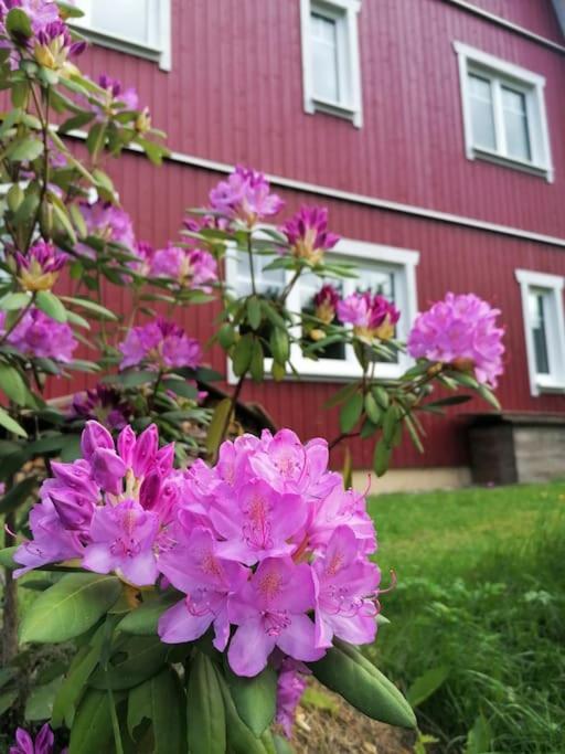 Haus Gruenfels Apartment Murau Ngoại thất bức ảnh