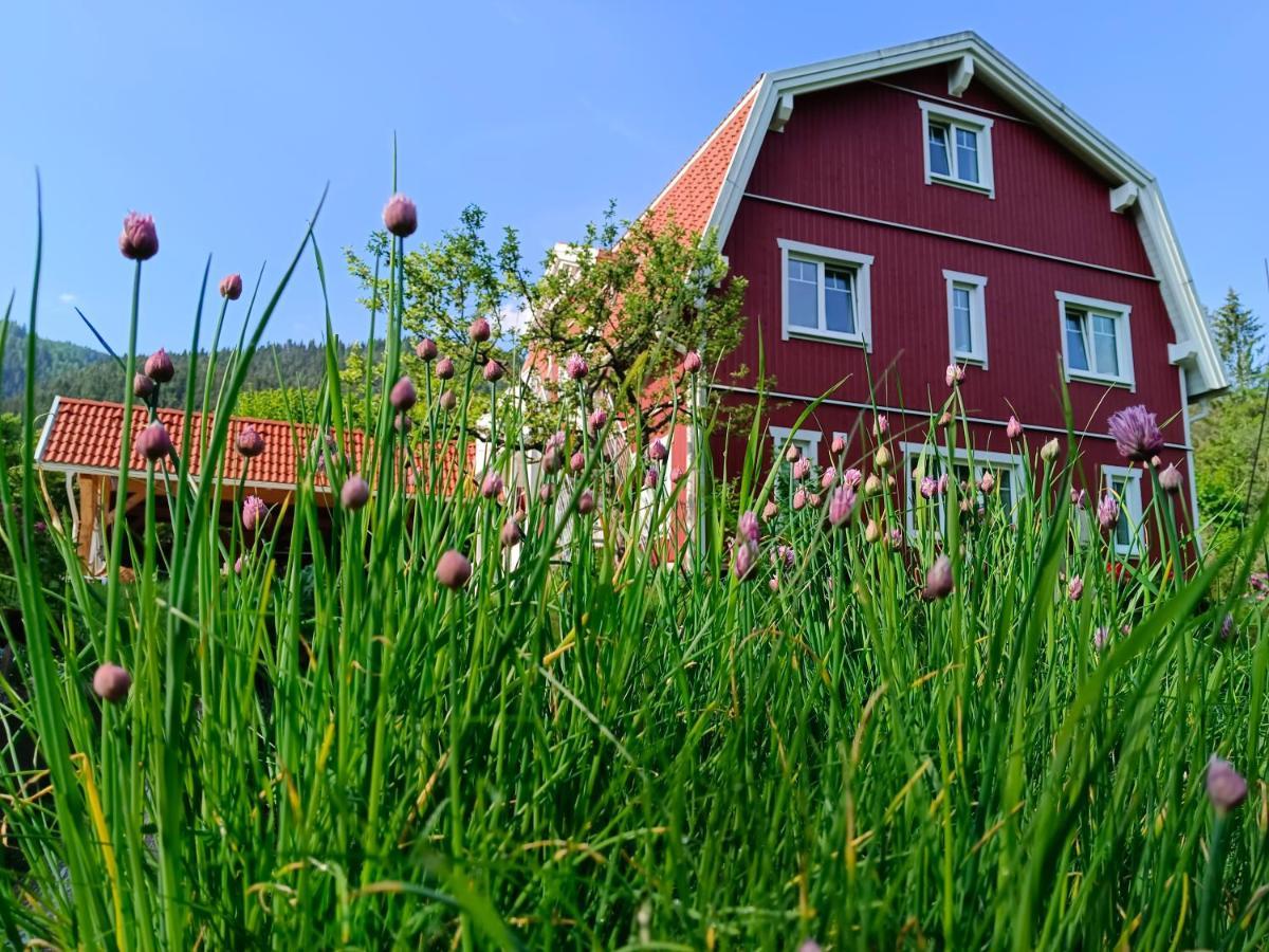 Haus Gruenfels Apartment Murau Ngoại thất bức ảnh